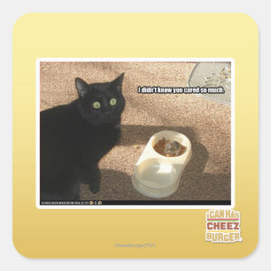 Sticker Carré Je ne sais pas que vous vous êtes inquiétés