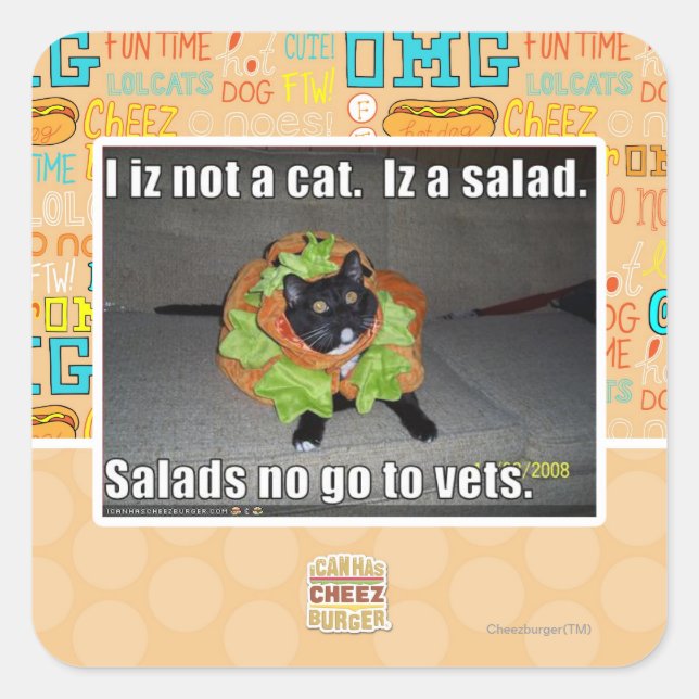 Sticker Carré Je ne suis pas un chat. Iz une salade. (Devant)