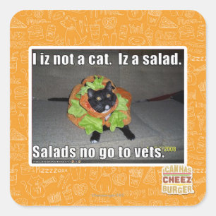 Sticker Carré Je ne suis pas un chat. Iz une salade.