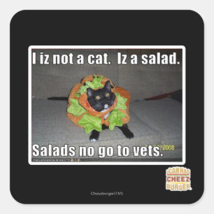 Sticker Carré Je ne suis pas un chat. Iz une salade.