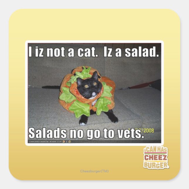 Sticker Carré Je ne suis pas un chat. Iz une salade. (Devant)