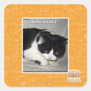 Sticker Carré Je pas meen 2