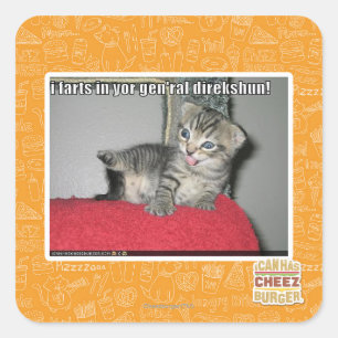 Sticker Carré Je pète dans ton gen'ral direkshun