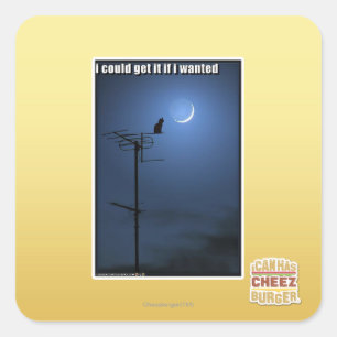 Sticker Carré Je pourrais l'obtenir si je voulais