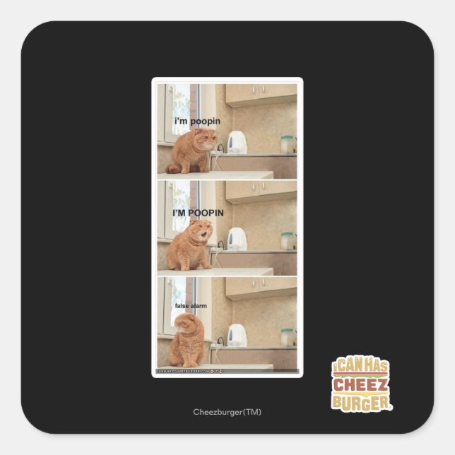 Sticker Carré Je suis de la foutaise ! (Devant)