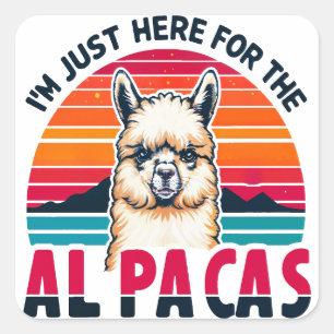Sticker Carré Je suis juste ici pour les amoureux de l'Alpacas d