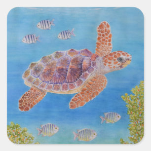 Sticker Carré Jeune tortue marine caouanne