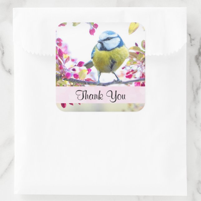 Sticker Carré Joli Oiseau bleu et jaune sur un Merci de branche (Sac)