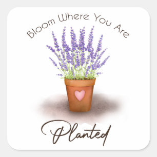 Sticker Carré Jolie lavande violette plante fleurs de pot planté