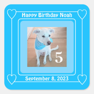 Sticker Carré Jolie photo Chien Chien Chien Chien Chien Chien Ch