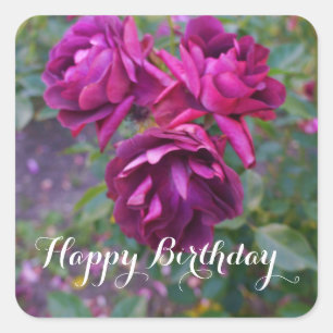 Sticker Carré Joyeux Anniversaire Bourgogne Rose Iceberg #3 Stic