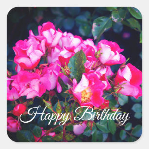 Sticker Carré Joyeux Anniversaire Carefree Spirit Rose #1 Sticke