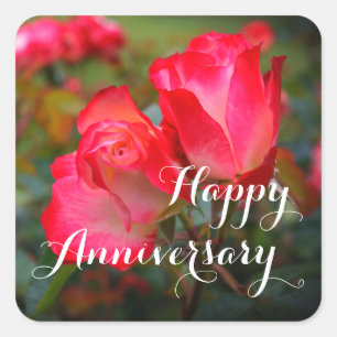 Sticker Carré Joyeux anniversaire Cerry Parfait Rose #4-3 Square