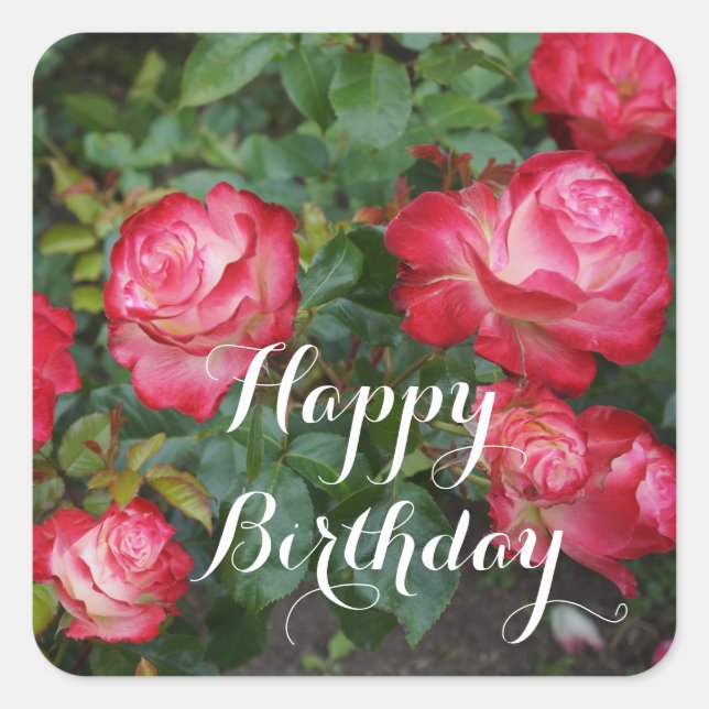 Sticker Carré Joyeux Anniversaire Cherry Parfait Rose #5-1 Stick (Devant)