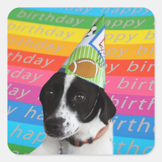 Sticker Carré Joyeux Anniversaire Chien Colorful Text Banner Sti (Devant)