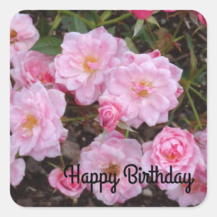 Sticker Carré Joyeux anniversaire Jeanne LaJoie Rose #1-2 Sticke