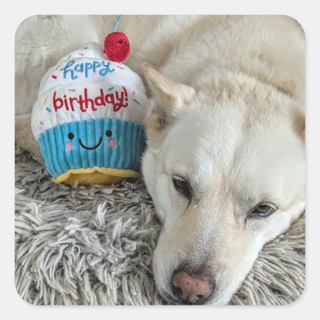 Sticker Carré Joyeux anniversaire pour vous.. (Devant)