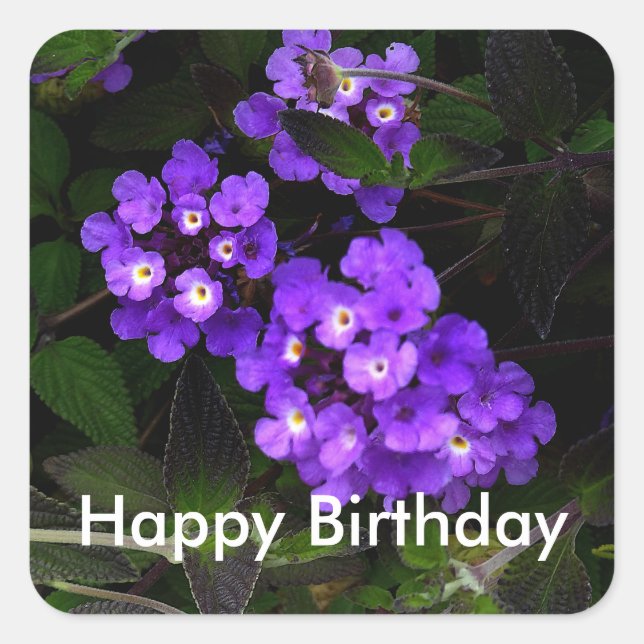 Sticker Carré Joyeux Anniversaire Violet Trailing Lantana #1 Sti (Devant)