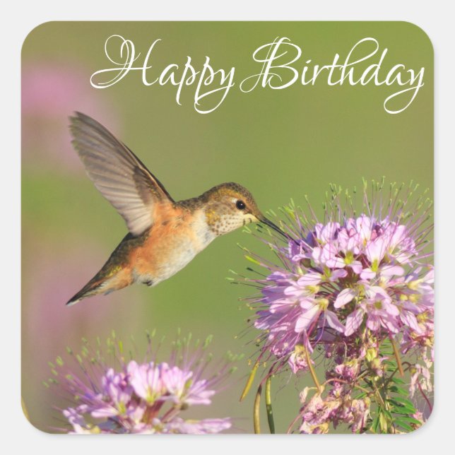 Sticker Carré Joyeux colibri et Fleur sauvage d'anniversaire (Devant)