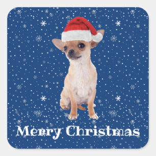 Sticker Carré Joyeux Noël Cute Chihuahua Père Noël 2