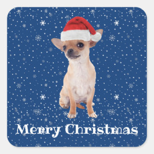 Sticker Carré Joyeux Noël Joli Chihuahua Père Noël 2
