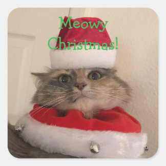 Sticker Carré Joyeux Noël miaou