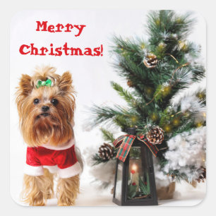 Sticker Carré Joyeux Noël Père Noël Yorkie avec arbre de Noël