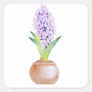 Sticker Carré Joyeux Norooz Hyacinth