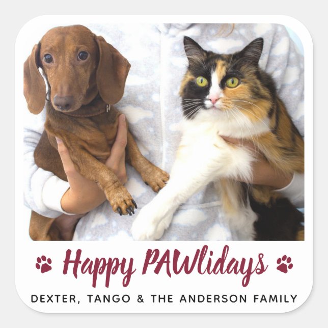 Sticker Carré Joyeux PAWlidays Amoureux des chiens chat animal p (Devant)
