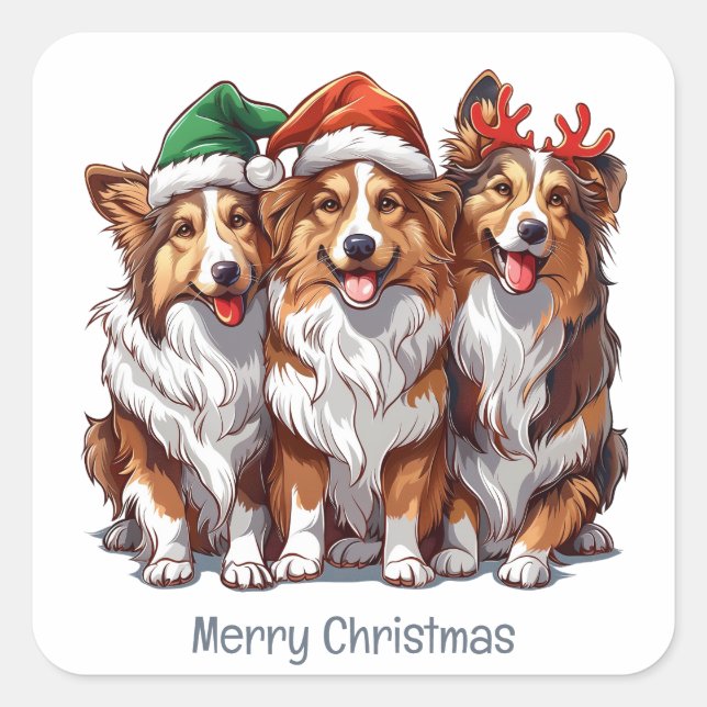 Sticker Carré Joyeux Sheepdogs de Noël Shetland (Devant)