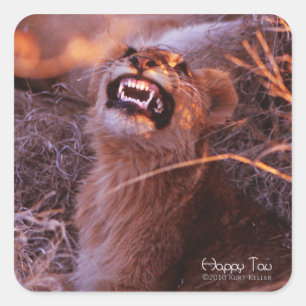 Sticker Carré Joyeux Tau, Lion Cub souriant