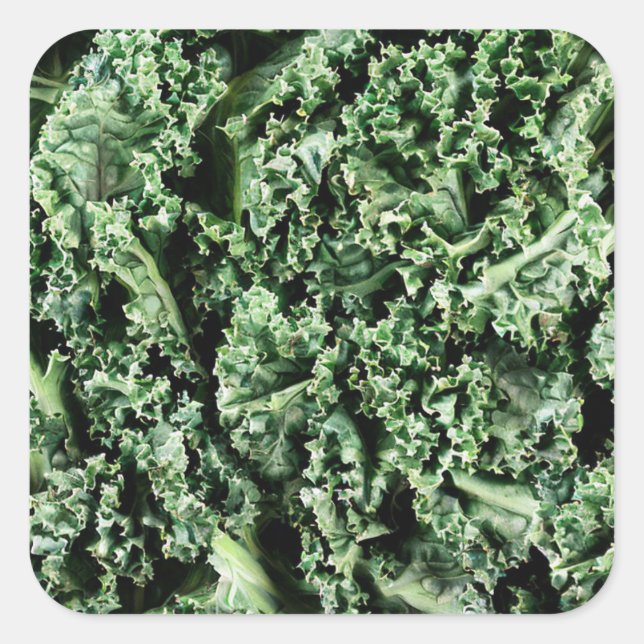 Sticker Carré Kale (Devant)