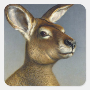 Sticker Carré Kangaroo