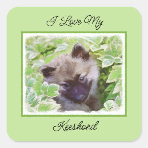 Sticker Carré Keeshond Puppy in the Garden Peinture Art original