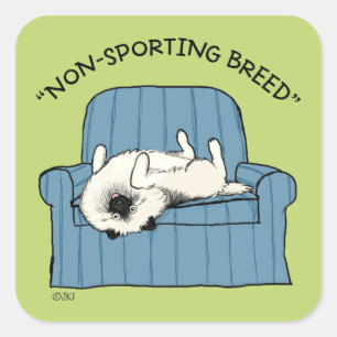 Sticker Carré Keeshond race non sportive   Funny Keesie Chien