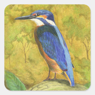 Sticker Carré Kingfisher