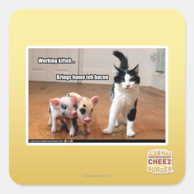 Sticker Carré Kitteh (Devant)