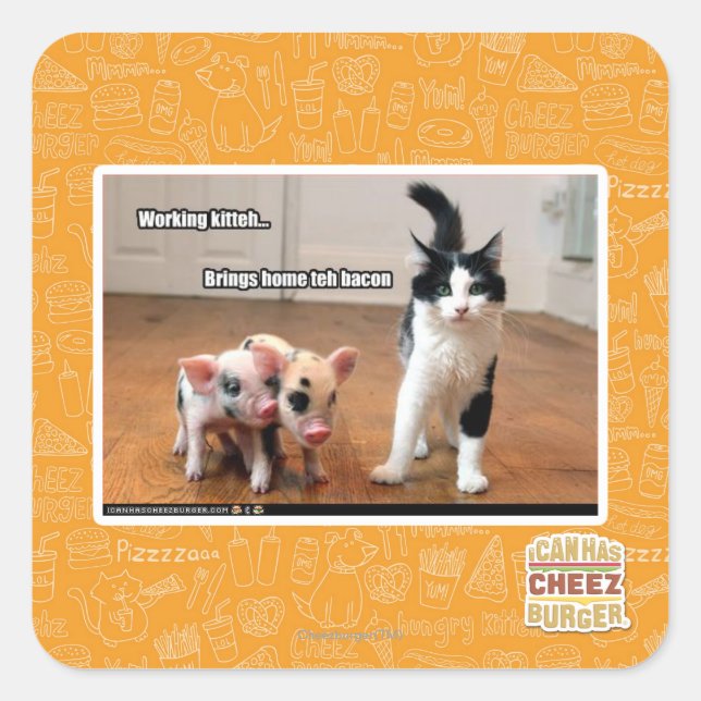 Sticker Carré Kitteh (Devant)