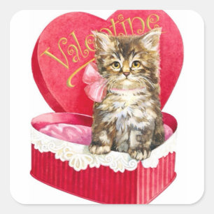 Sticker Carré Kitten dans Candy Box
