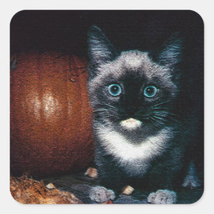 Sticker Carré Kitten et Citrouille pour Halloween