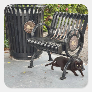 Sticker Carré Kitty dans le parc