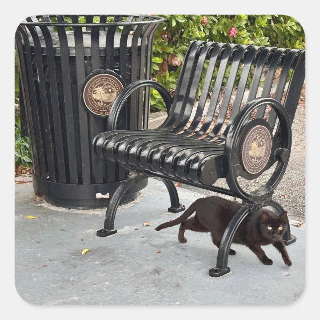 Sticker Carré Kitty dans le parc (Devant)