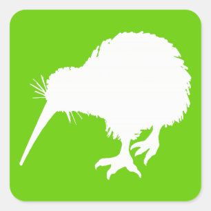 Sticker Carré Kiwi vert et blanc