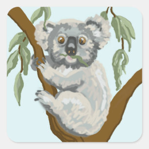Sticker Carré Koala