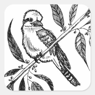 Sticker Carré Kookaburra noir et blanc sur dessin de branche