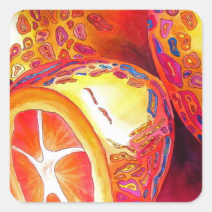 Sticker Carré Kumquats agrumes oranges aquarelles fruits art