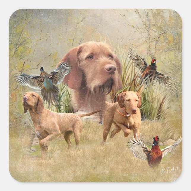 Sticker Carré La À poils durs hongroise Vizsla (Devant)