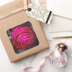 Sticker Carré La Camélia rose 