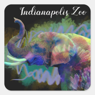 Sticker Carré La chance de l'éléphant du nez