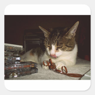 Sticker Carré La faim pour les cassettes